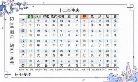 長生十二神|长生十二神